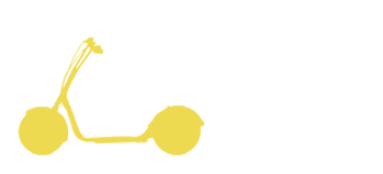 Electric Scooter Info